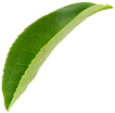 slider-3-3.png