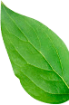 slider-3-4.png