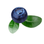 slider-2-4.png