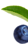 slider-3-6.png